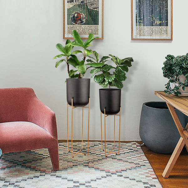 Tips For Choosing The Right Planter For Your Houseplants!