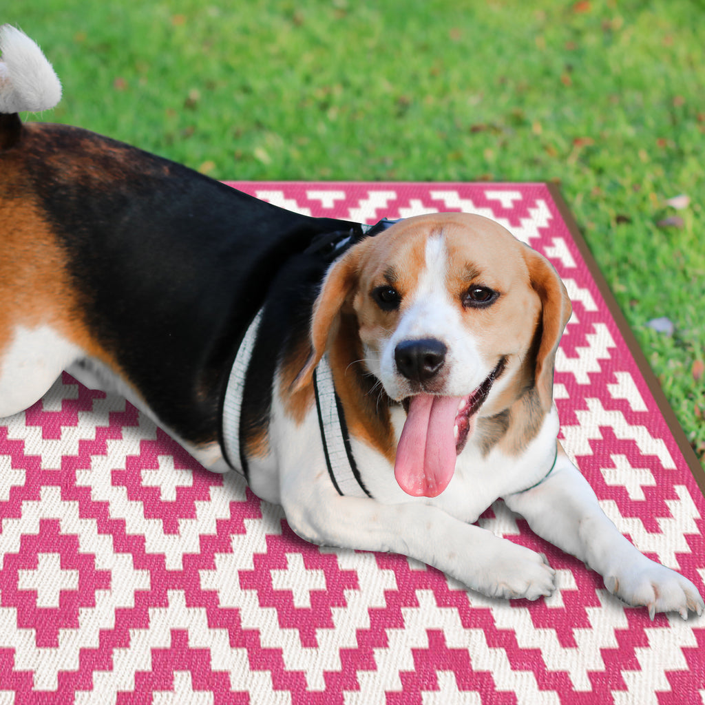 Unleash the Outdoors with Pet-Friendly Outdoor Rugs