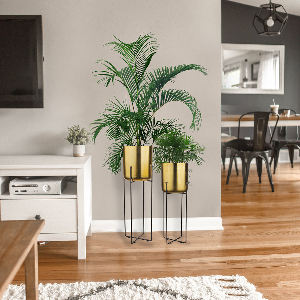 Add Greenery To Your Home Space With Indoor Planters!