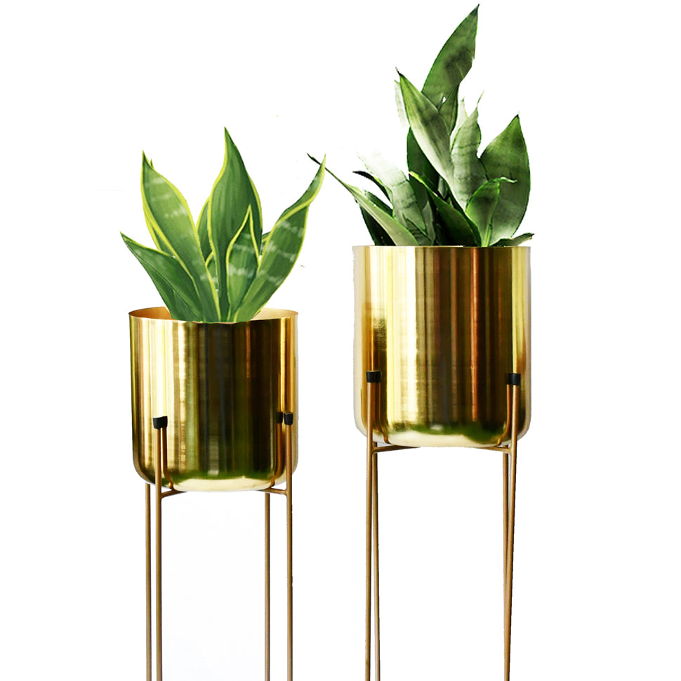 Vivid Set of 2 Planter Stands and Brass